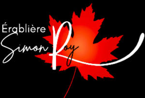 3logo erabliere noir